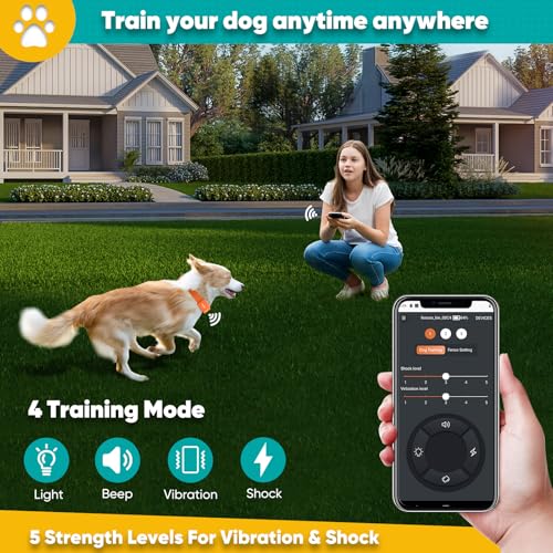 Electric Dog Fence with Training Collar, Rechargeable Waterproof Collar V73708