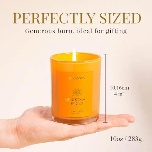 3 Pack 30oz Soy Scented Candles U694