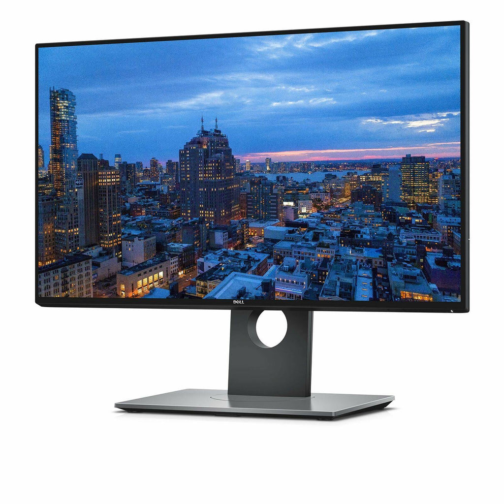 24 IPS LED Monitor D10554