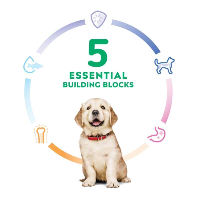 Chicken Recipe Dry Dog Food A1456