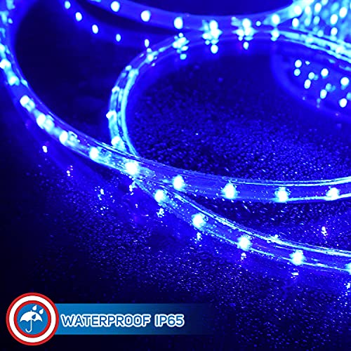 LED Rope Lights with Multifunction Controller 30 Ft E63613