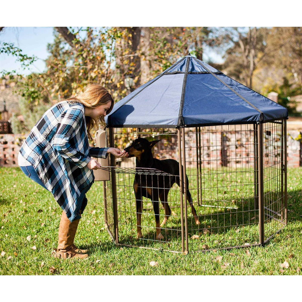 Dog Kennel M3727