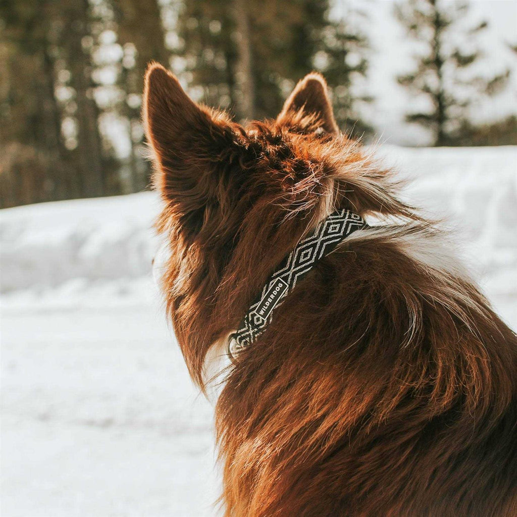 Ultralight Collar M786