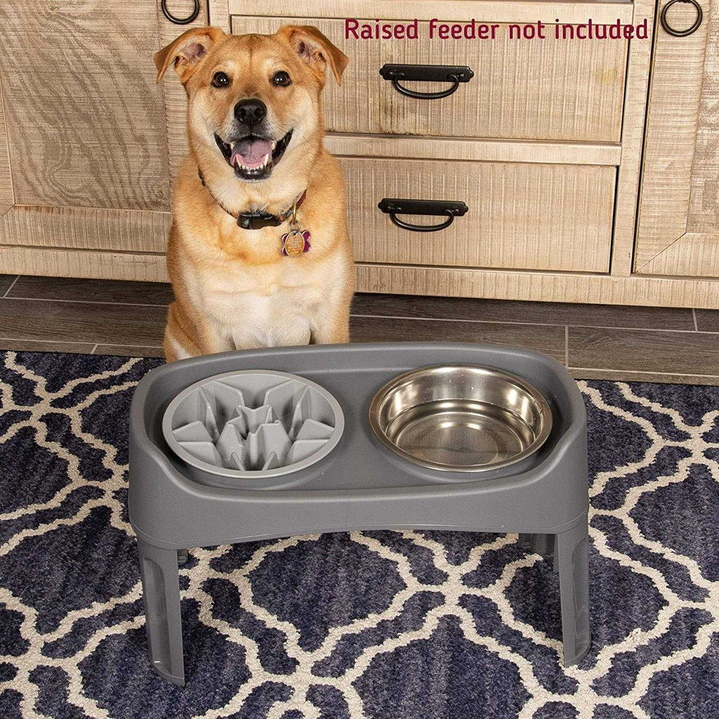 Slow Feeder Dog Bowl with Feeder Holes B78255