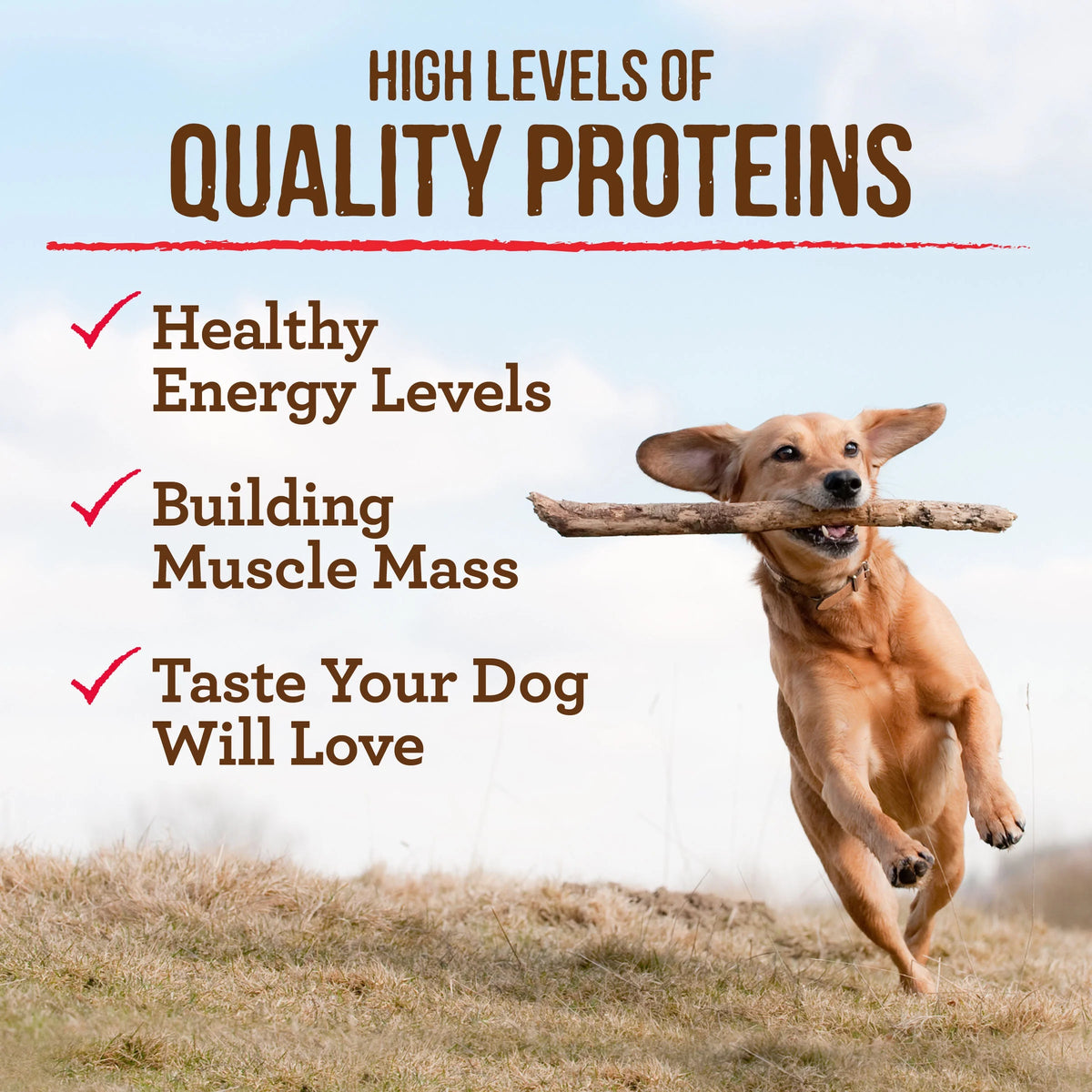 Grain Free Bison & Sweet Potato Dry Dog Food 22 lb Bag P2048