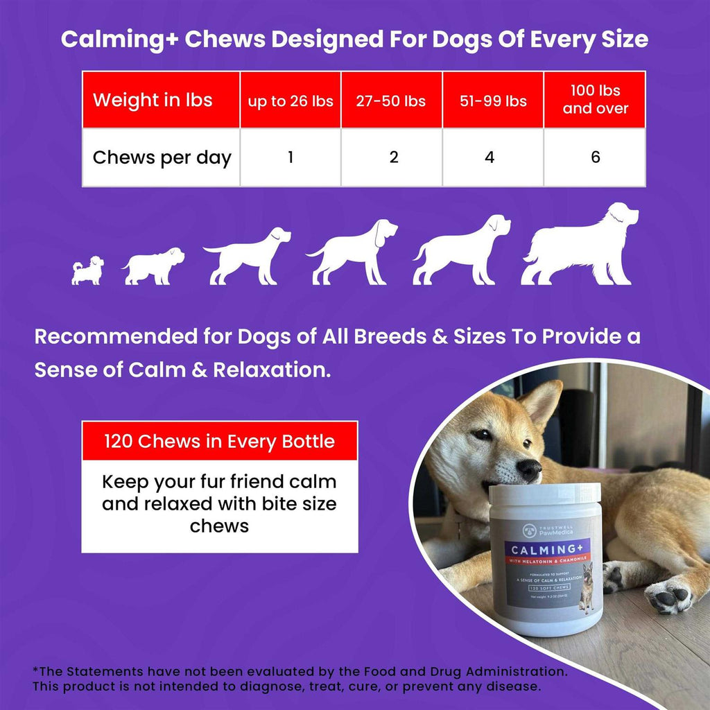 Calming Chews for Dogs Dog Sleep Supplement G756