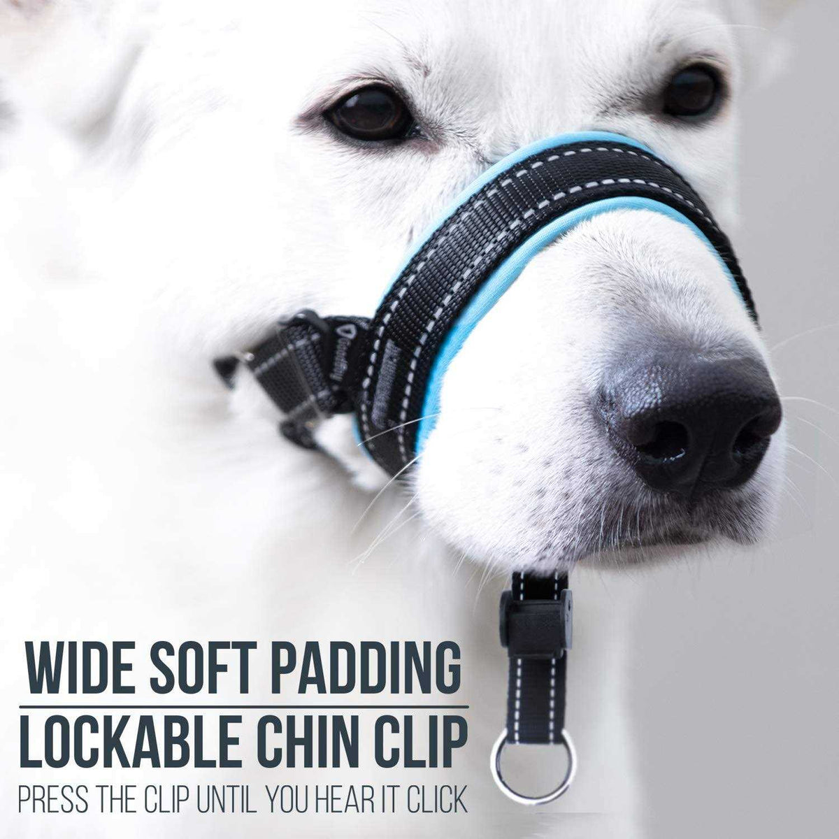 Dog Head Halter with Safety Strap G413