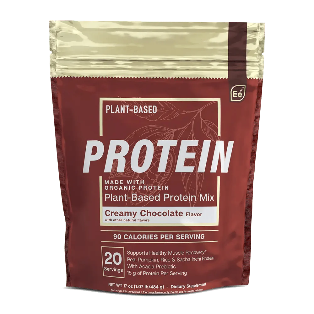 Chocolate Protein Y839166