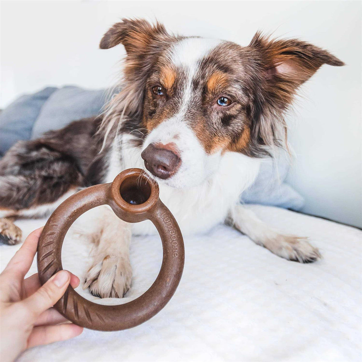 Durable Chew Toy for Aggressive Chewers X76498