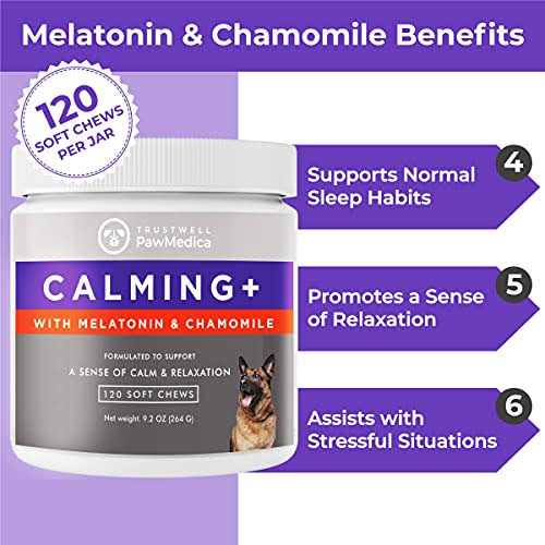 Calming Chews for Dogs Dog Sleep Supplement G756