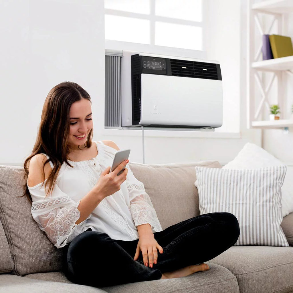 Window Air Conditioner I4522