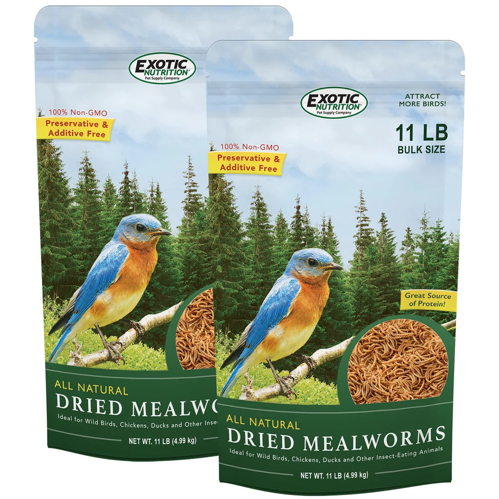 Dried Mealworms 22 lb C8486