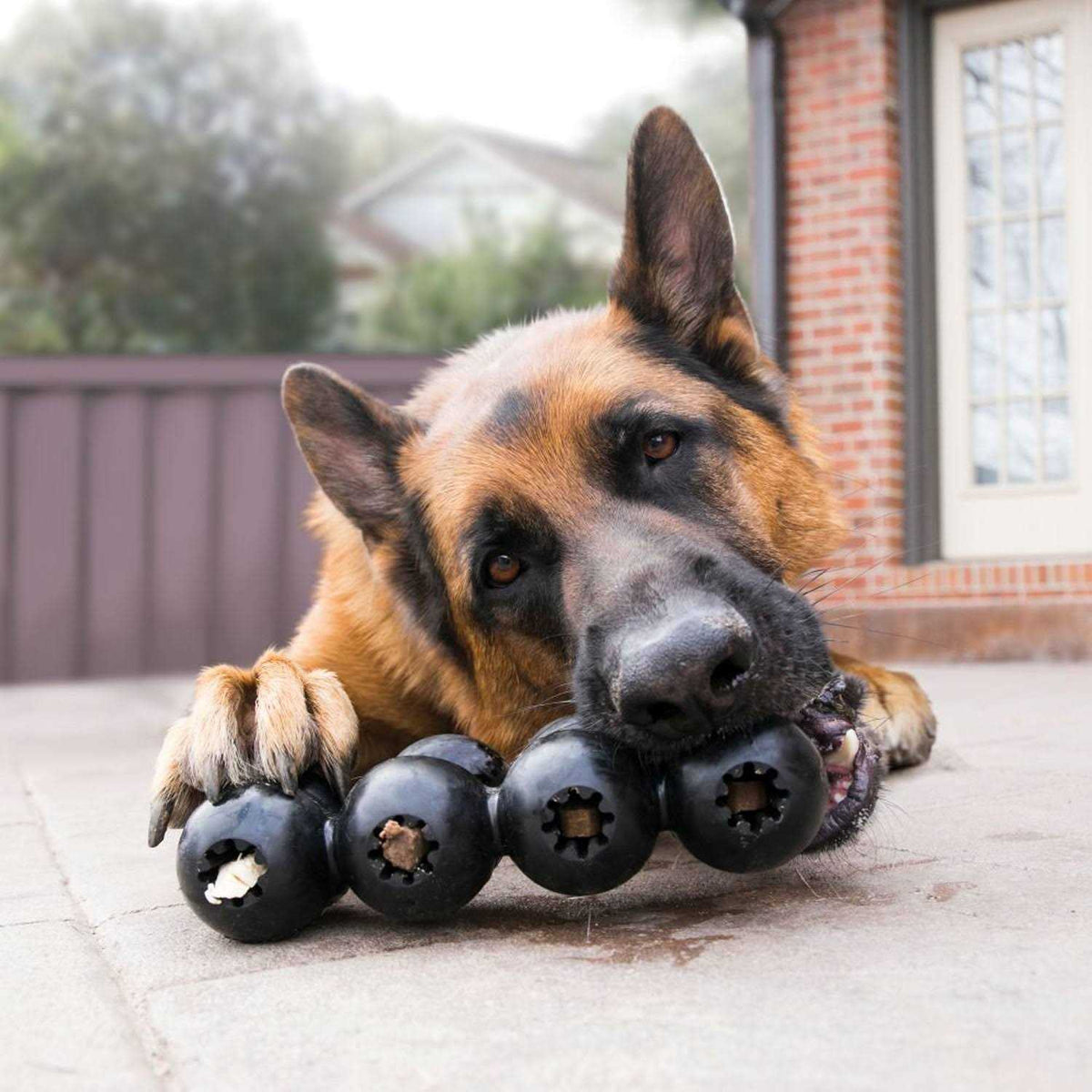 Dog Toy G2099