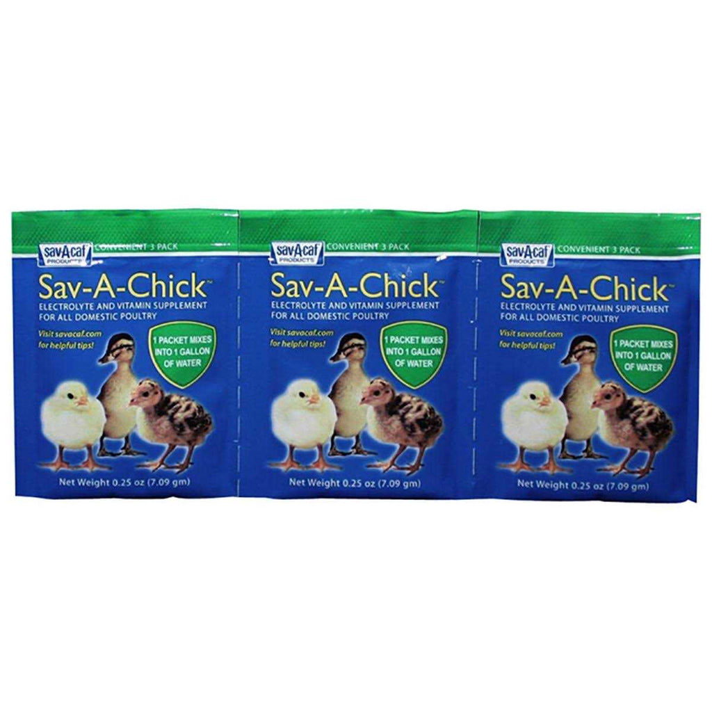 Electrolyte Vitamin Supplement G547