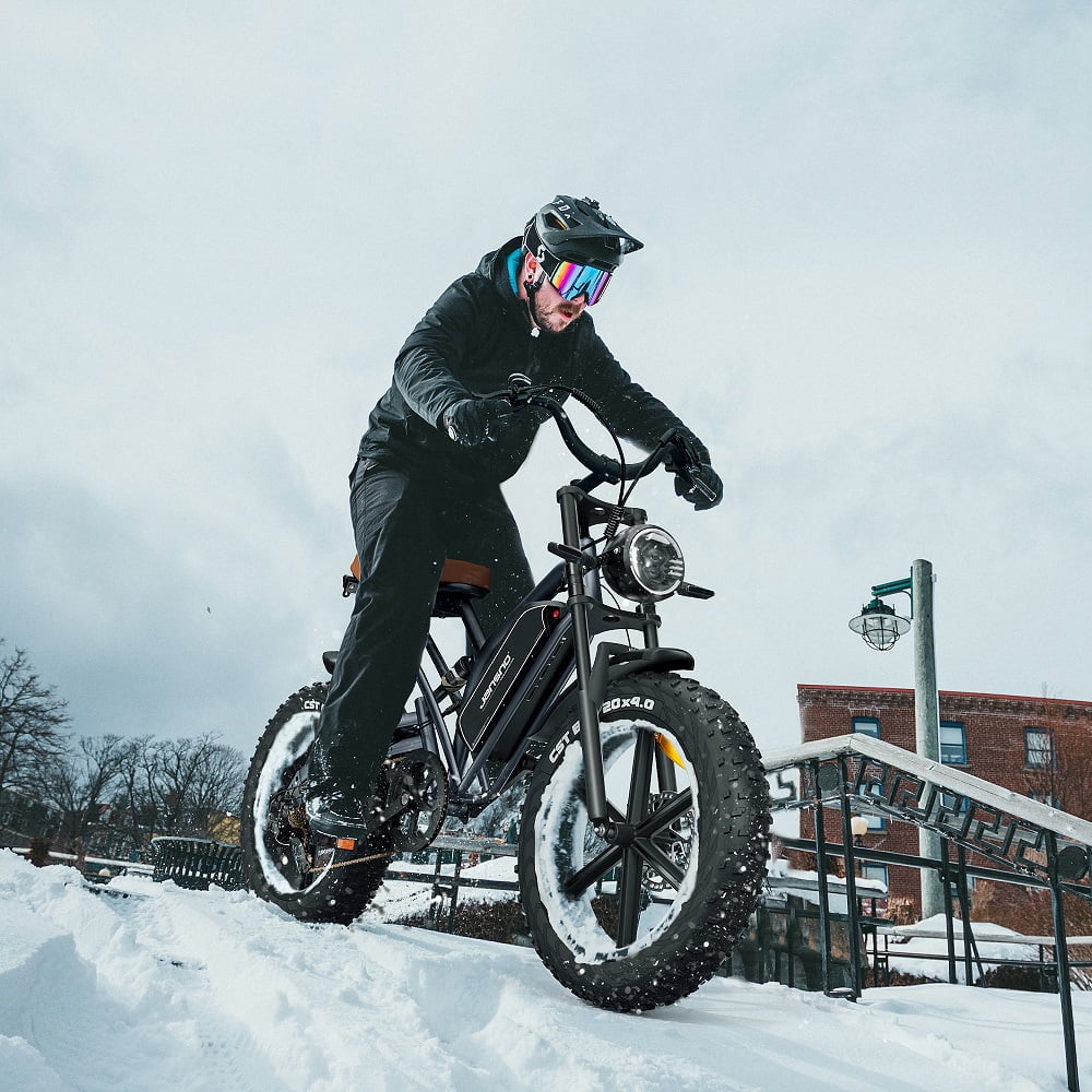 20" x 4.0 Electric Bike with 750W Motor 48V 14Ah Battery 7-Speed E792820