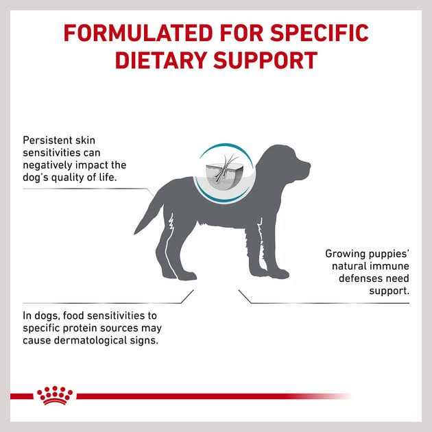 Hydrolyzed Protein Puppy Dry Dog Food D997