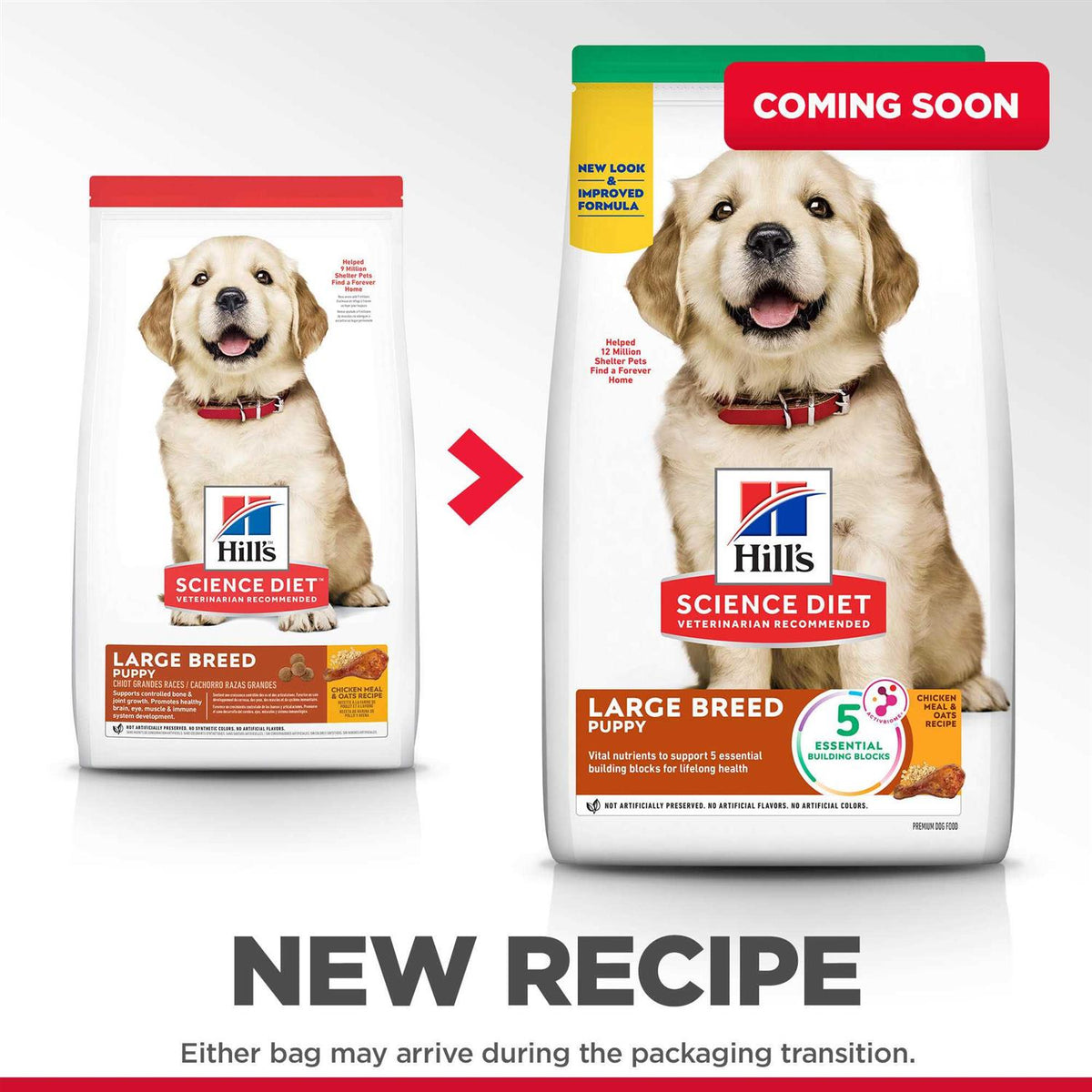 Chicken Recipe Dry Dog Food A1456