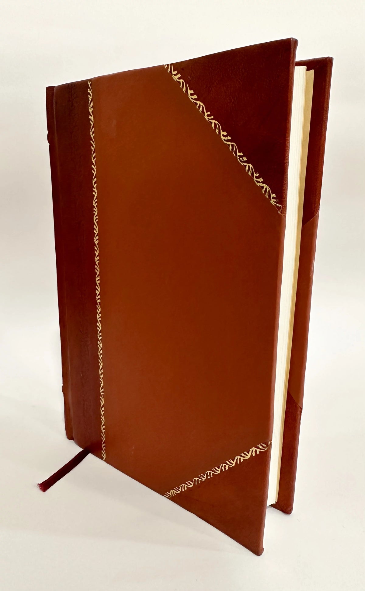 State of Rhode-Island and Providence 1902 Leather Bound X8122