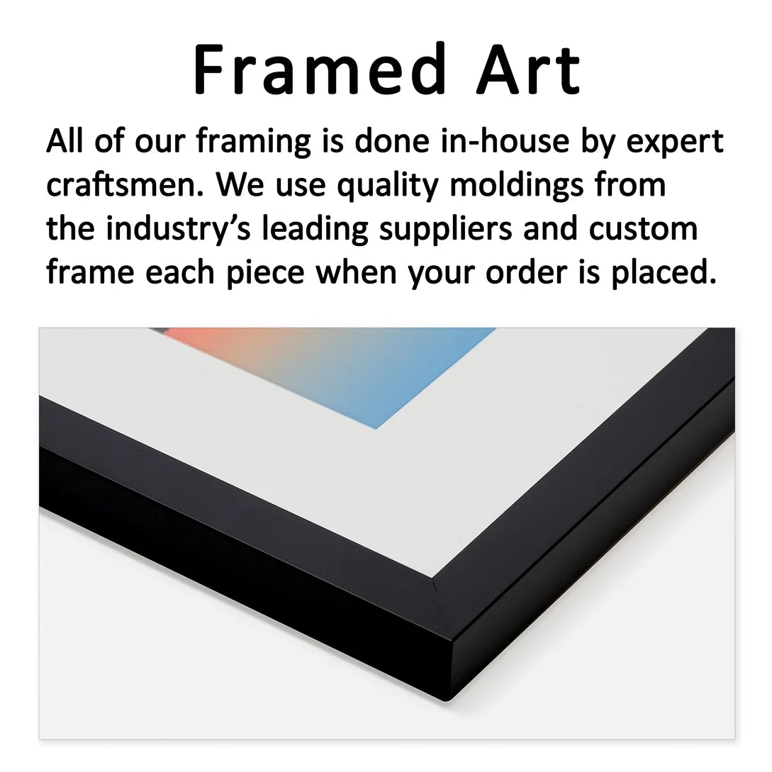 Framed Print P7655