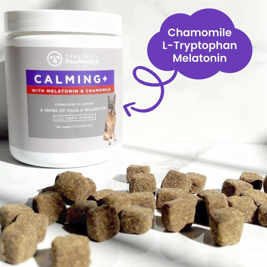 Calming Chews for Dogs Dog Sleep Supplement G756