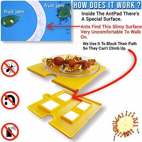 Ant Proof Dog Cat Pet Bowl K237038