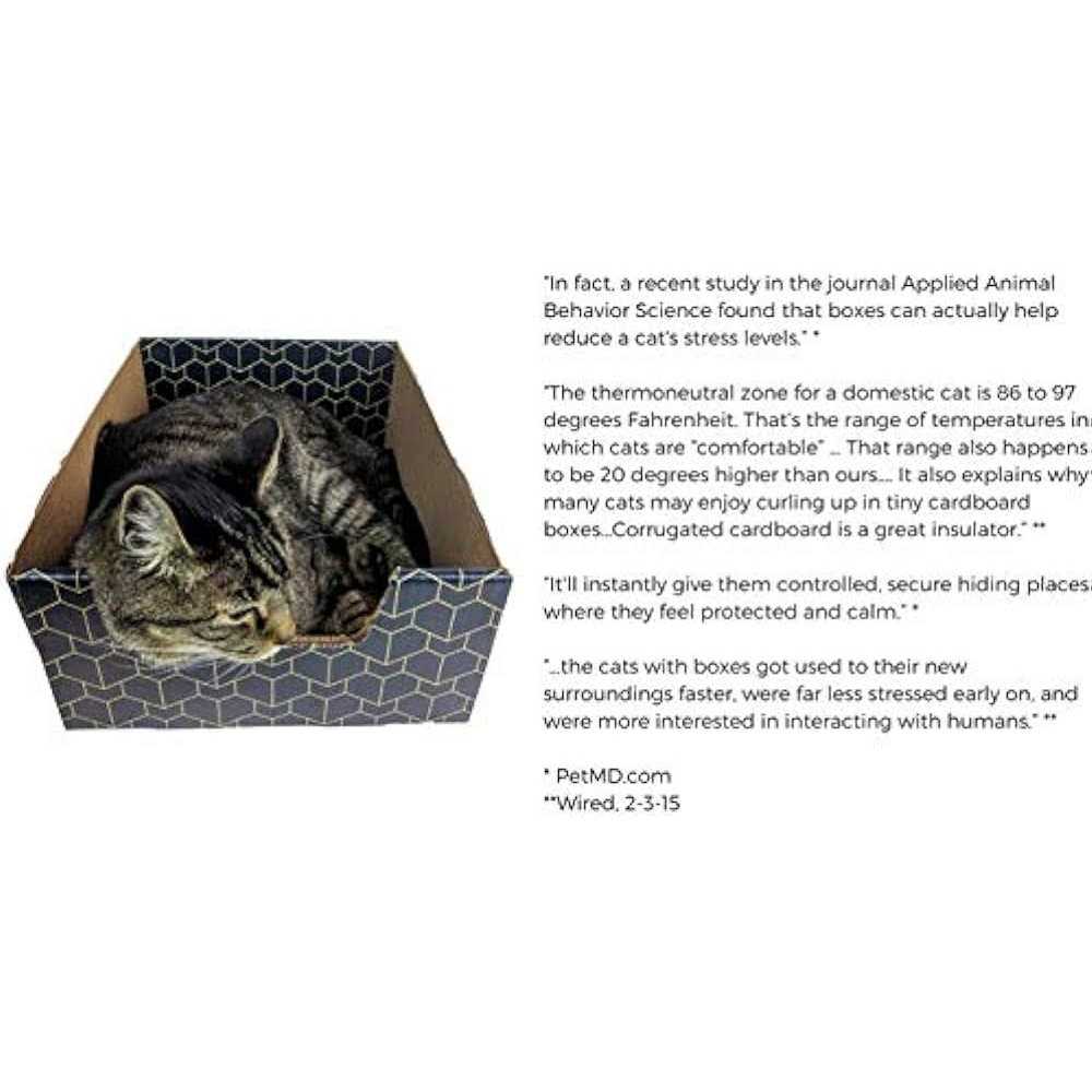 Blue Cat Box C876847