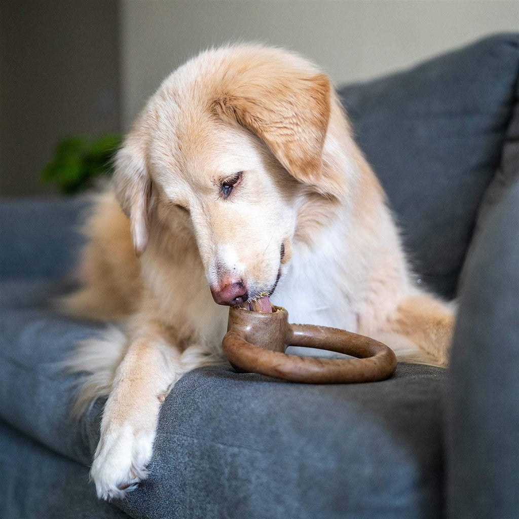 Durable Chew Toy for Aggressive Chewers X76498